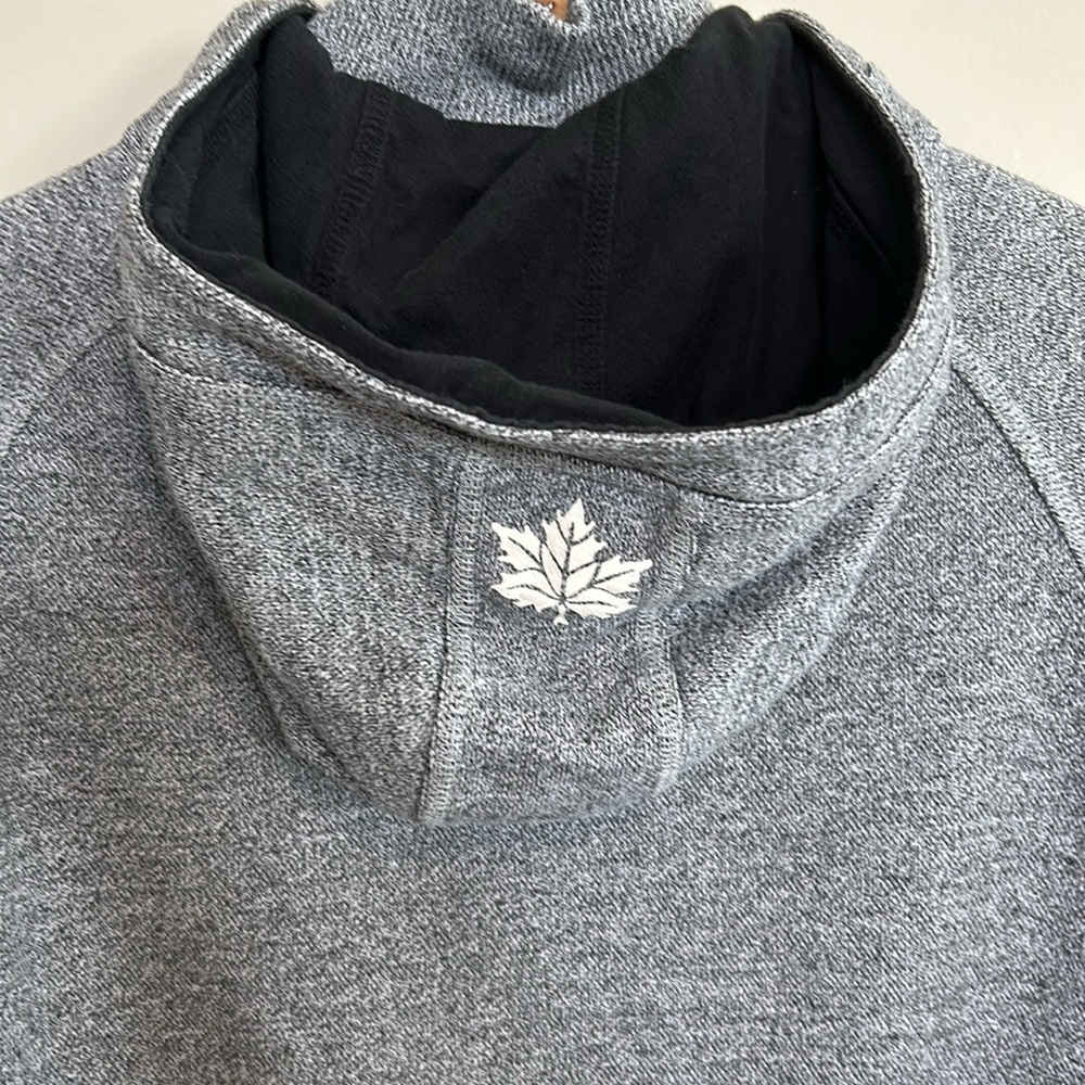 Roots Gray Banff Hoodie - Picture 11 of 12